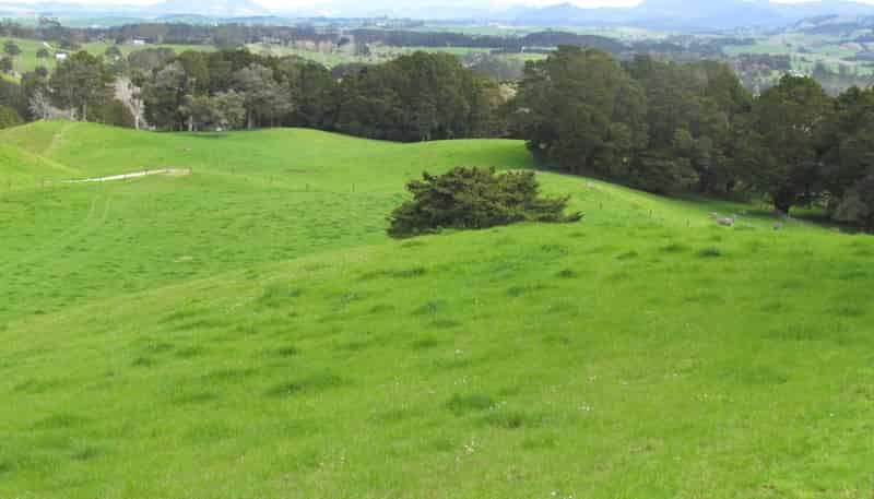  Tremain Road, Ruatangata West