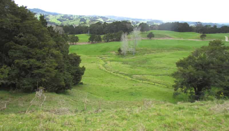  Tremain Road, Ruatangata West