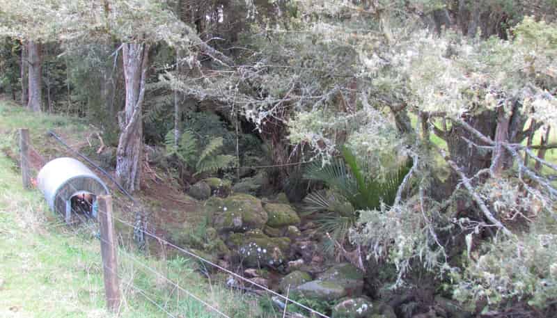  Tremain Road, Ruatangata West