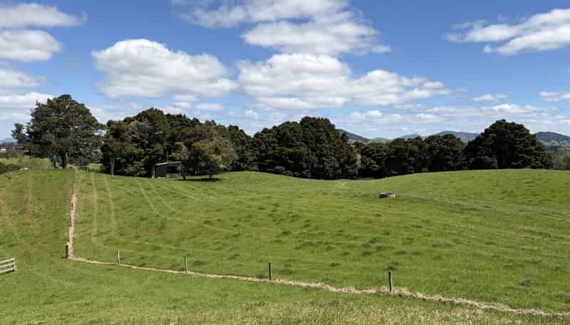  Tremain Road, Ruatangata West