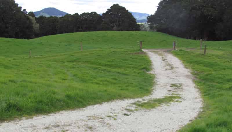  Tremain Road, Ruatangata West