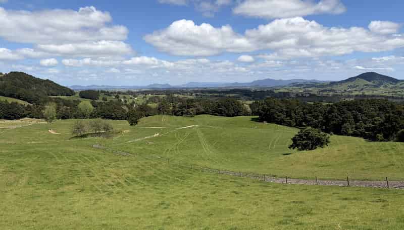  Tremain Road, Ruatangata West