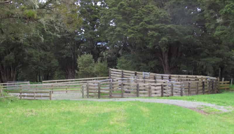  Tremain Road, Ruatangata West