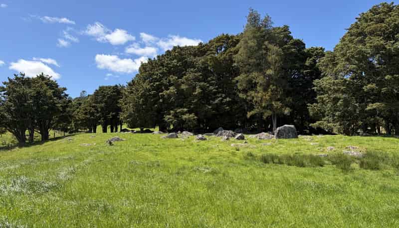 Tremain Road, Ruatangata West