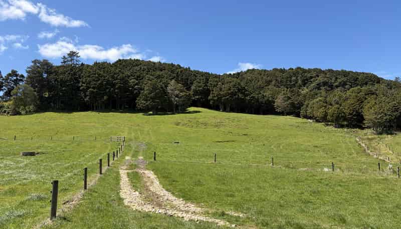  Tremain Road, Ruatangata West