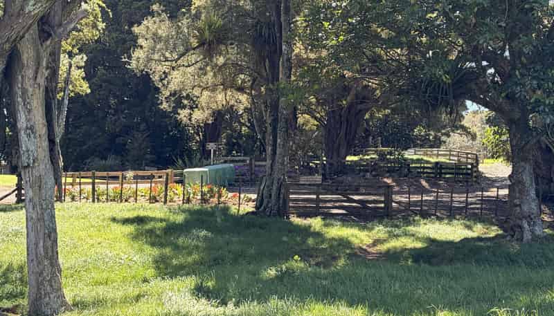  Tremain Road, Ruatangata West
