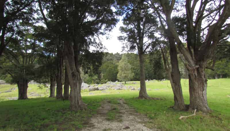  Tremain Road, Ruatangata West