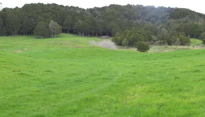  Tremain Road, Ruatangata West