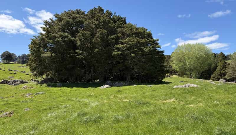  Tremain Road, Ruatangata West