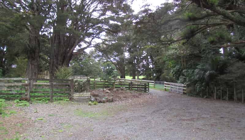  Tremain Road, Ruatangata West