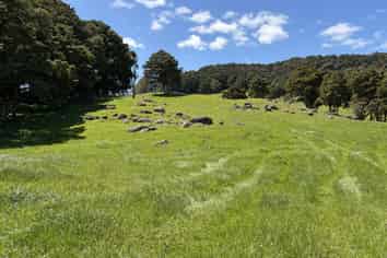  Tremain Road, Ruatangata West