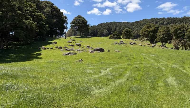  Tremain Road, Ruatangata West