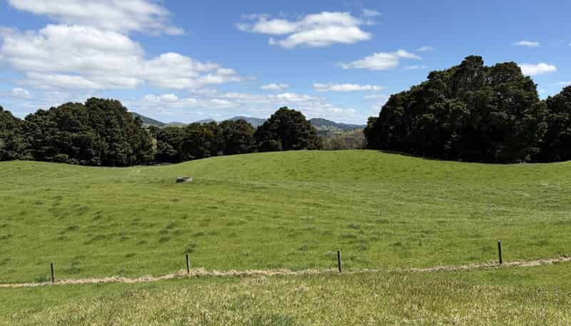  Tremain Road, Ruatangata West
