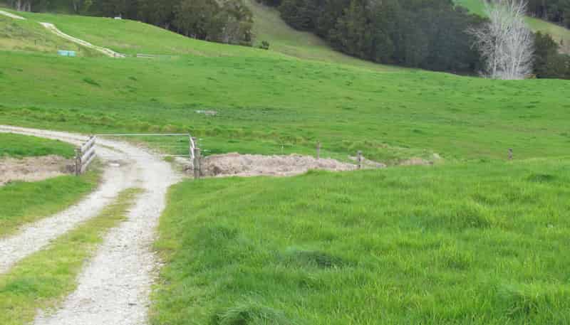  Tremain Road, Ruatangata West