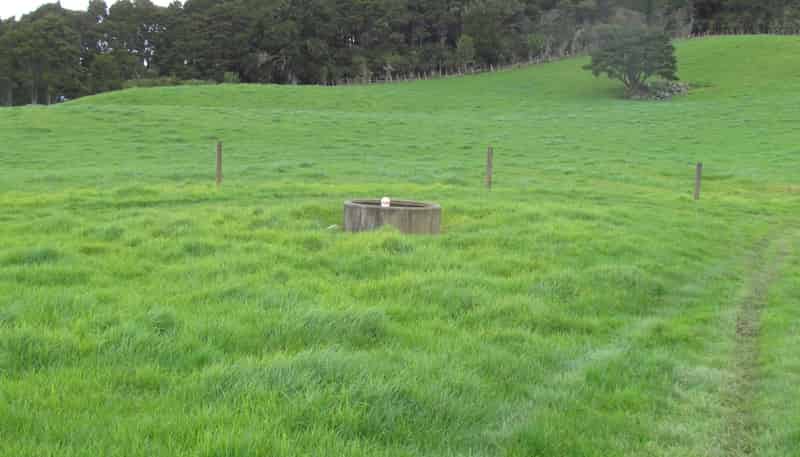  Tremain Road, Ruatangata West