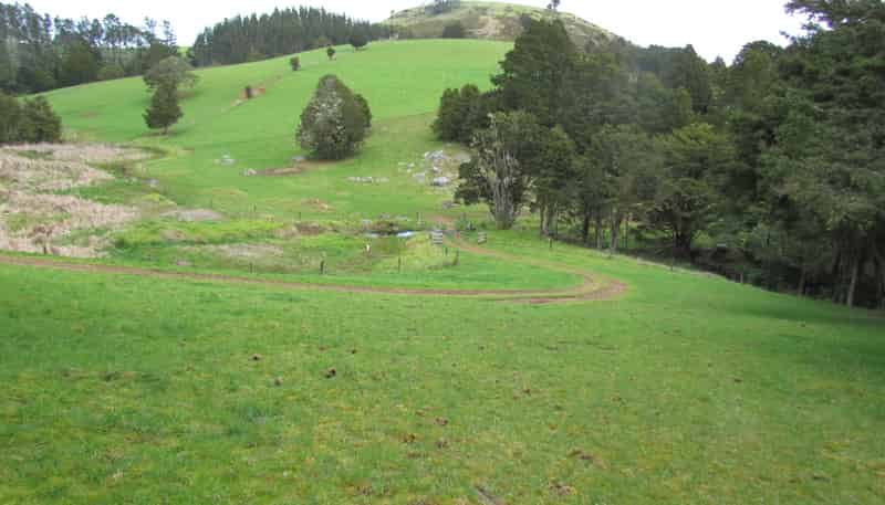  Tremain Road, Ruatangata West