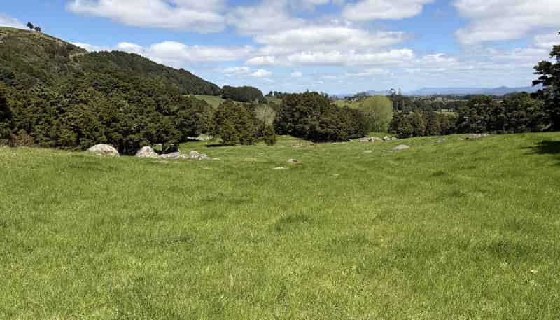  Tremain Road, Ruatangata West