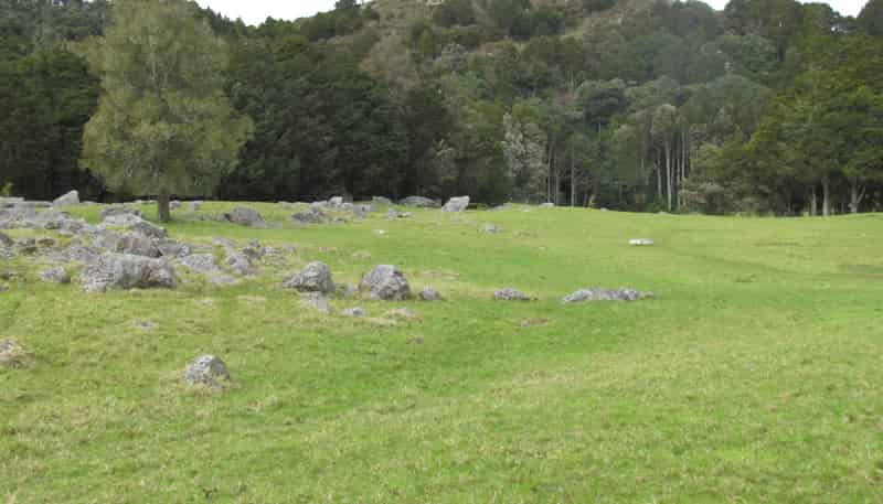  Tremain Road, Ruatangata West