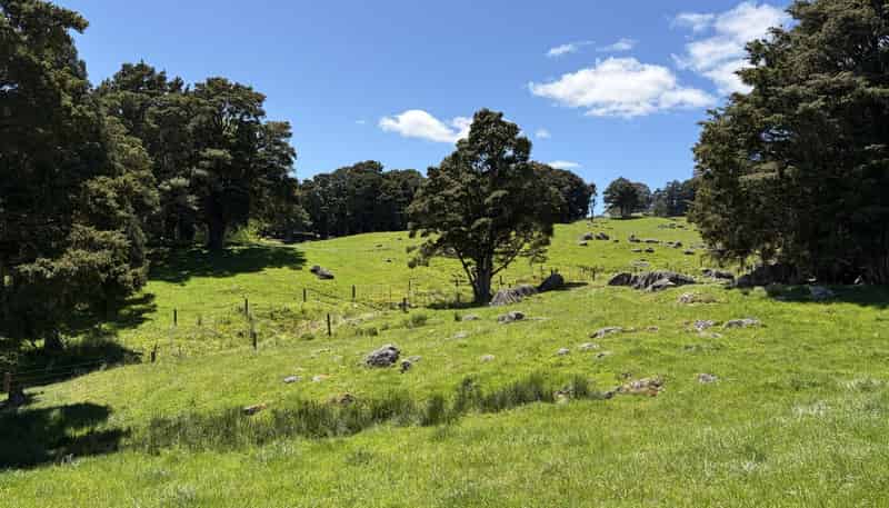  Tremain Road, Ruatangata West
