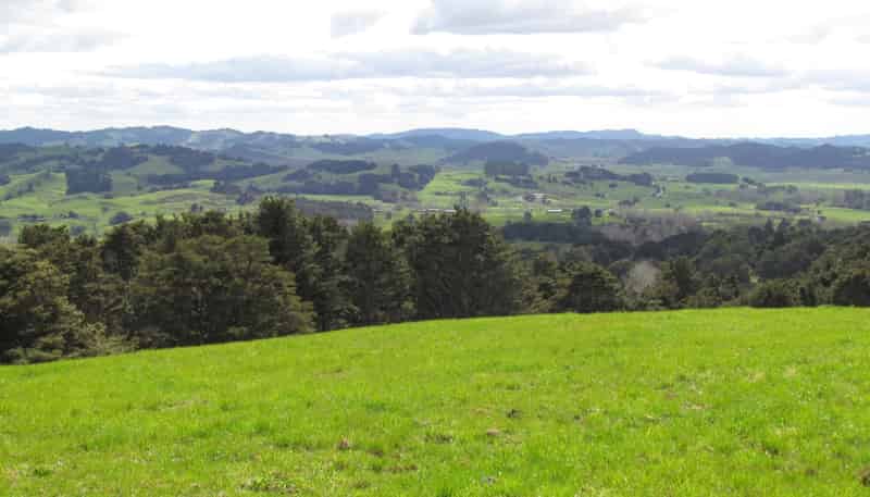  Tremain Road, Ruatangata West