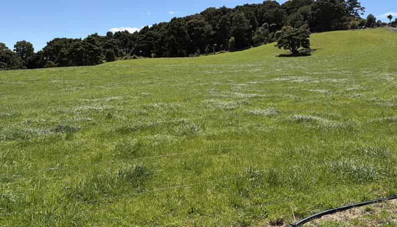  Tremain Road, Ruatangata West