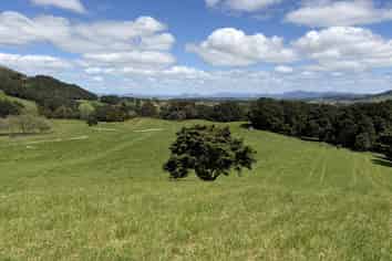  Tremain Road, Ruatangata West
