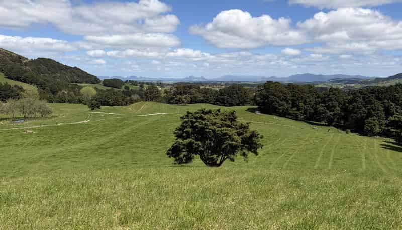  Tremain Road, Ruatangata West