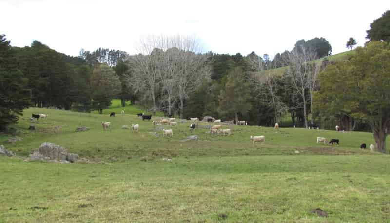  Tremain Road, Ruatangata West