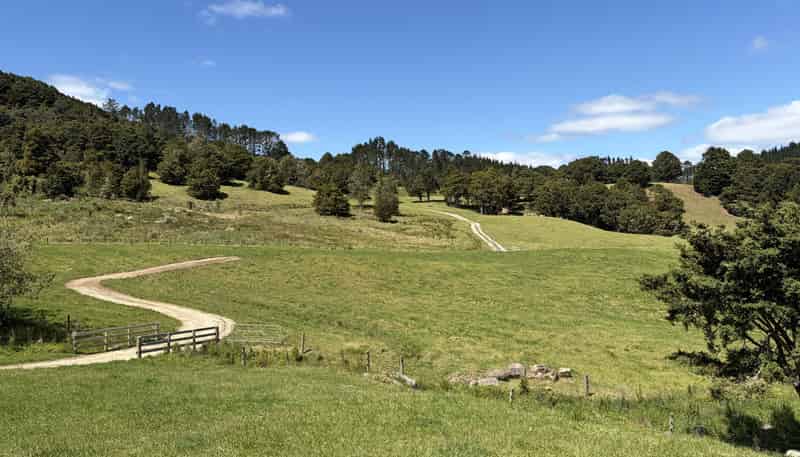  Tremain Road, Ruatangata West