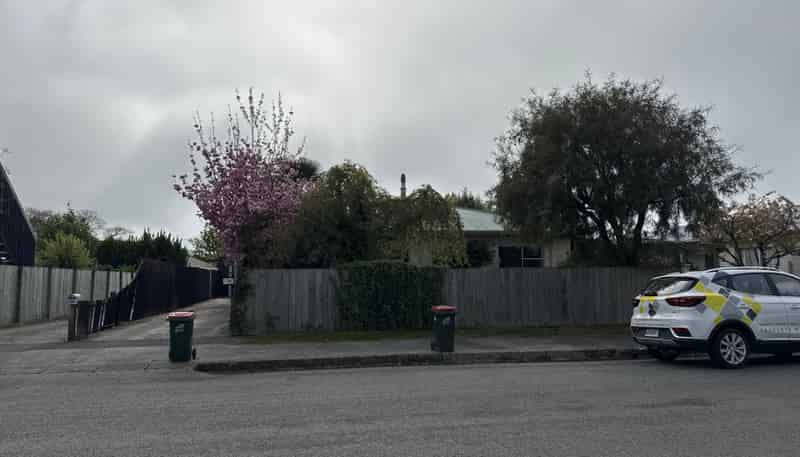 31 Manchester Street, Tinwald
