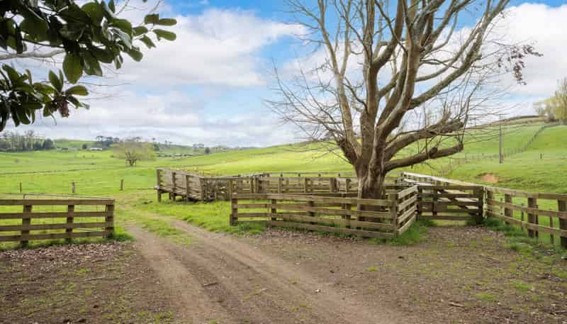 354 Paratu West Road, Matamata