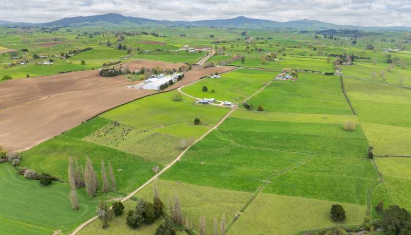 222 Gunn Road, Matamata