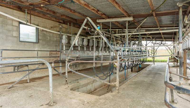 222 Gunn Road, Matamata