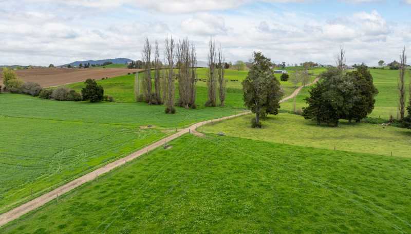 222 Gunn Road, Matamata