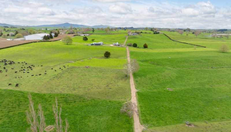 222 Gunn Road, Matamata