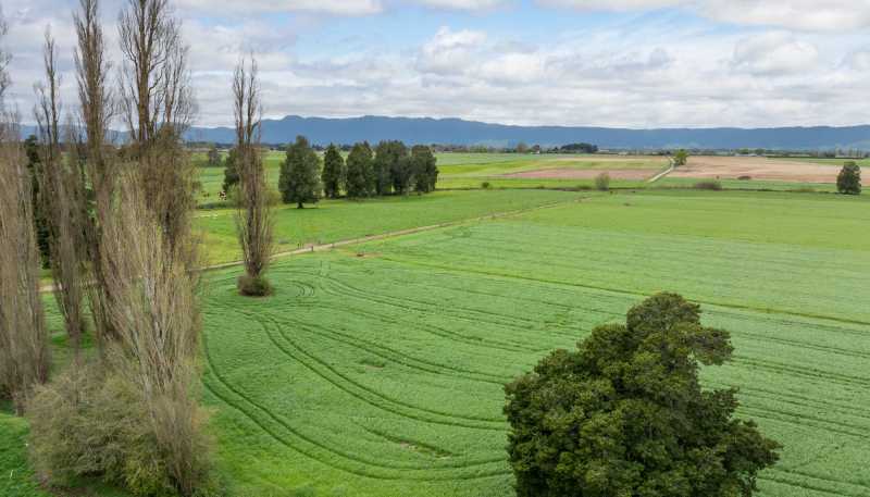 222 Gunn Road, Matamata