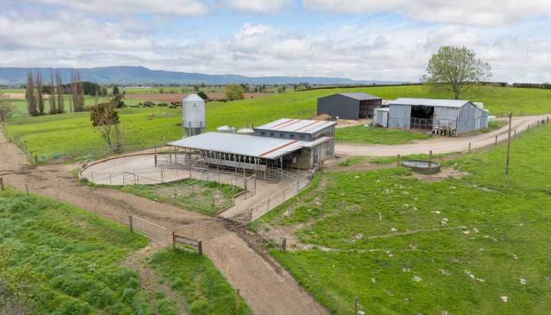 222 Gunn Road, Matamata