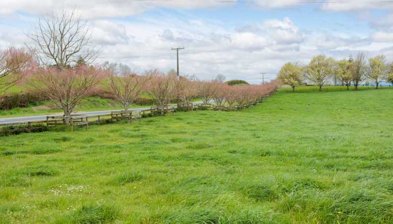 222 Gunn Road, Matamata