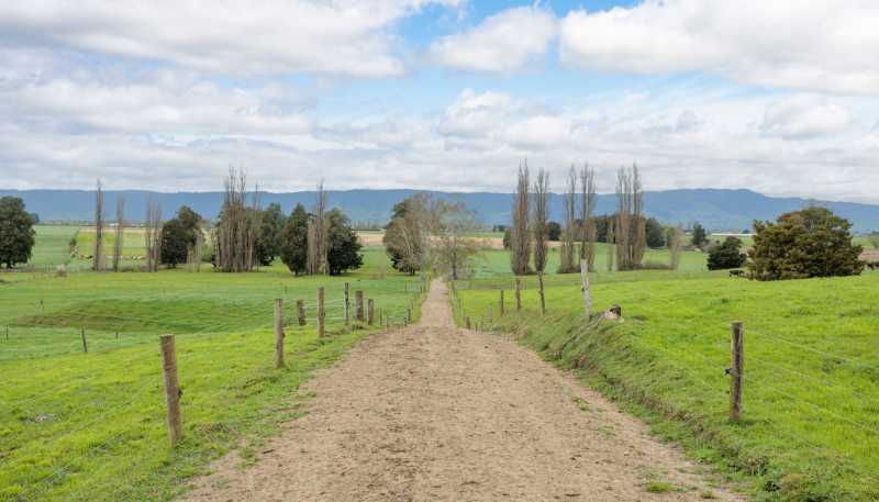 222 Gunn Road, Matamata