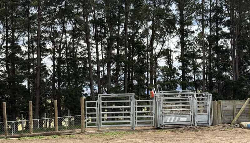865 Wallaces Ford Road, Hindon