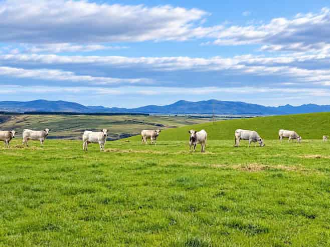 865 Wallaces Ford Road, Clarks Junction