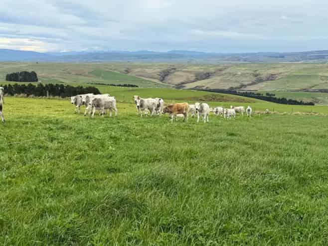865 Wallaces Ford Road, Clarks Junction