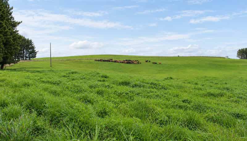 865 Wallaces Ford Road, Hindon