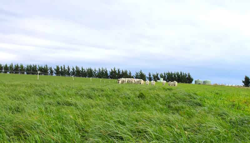 865 Wallaces Ford Road, Hindon