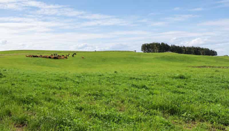 865 Wallaces Ford Road, Hindon
