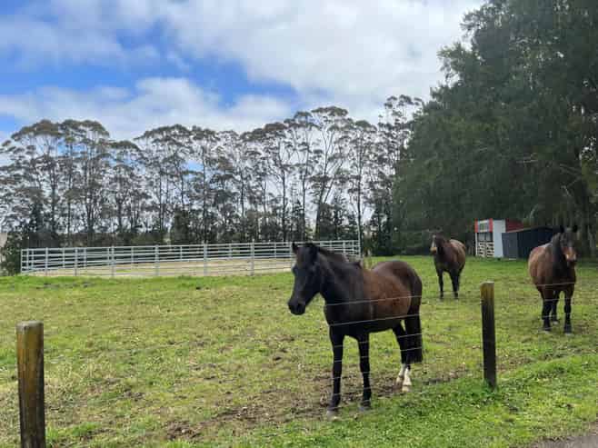 34 Macadamia Lane, Kerikeri