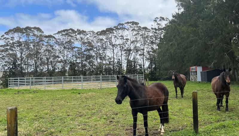 34 Macadamia Lane, Kerikeri
