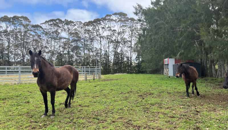 34 Macadamia Lane, Kerikeri
