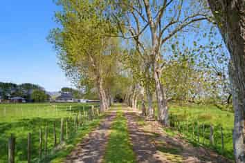 138 Harris Road, Waiuku