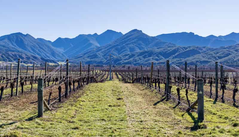 2486 State Highway 63, Wairau Valley